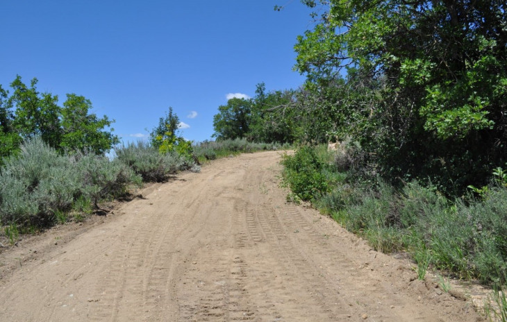 31750 Preserve Drive South Photo