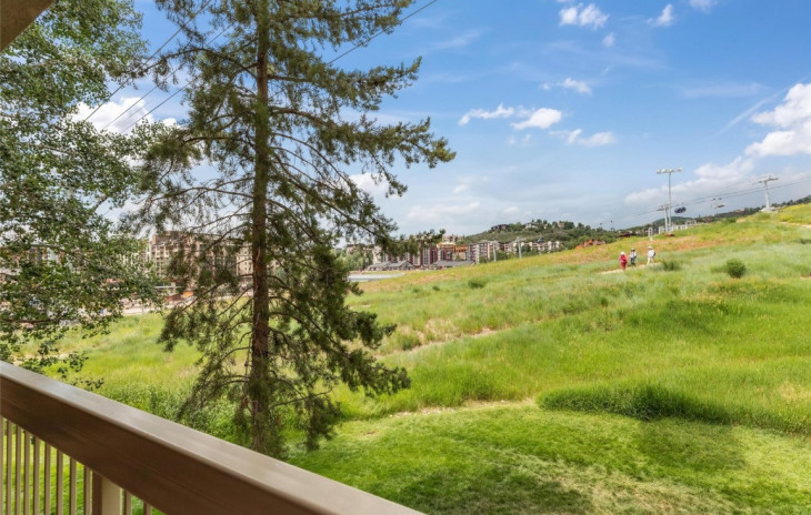 2306 Ski Trail Lane Photo