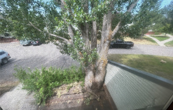 21 Cedar Ct Photo