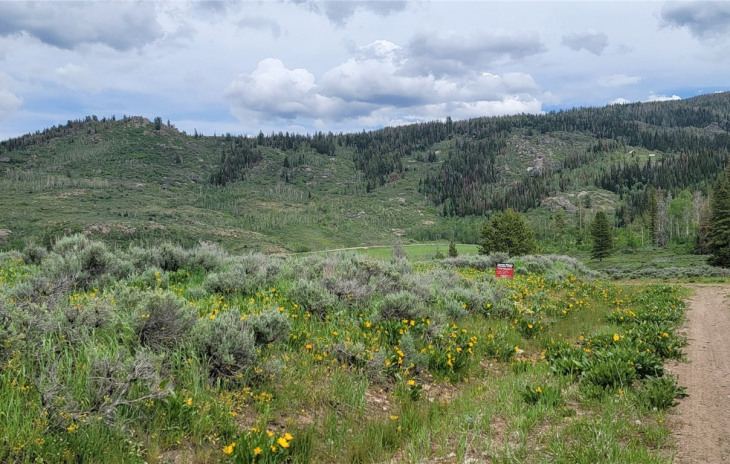 TBD Whiffle Tree Trail Photo