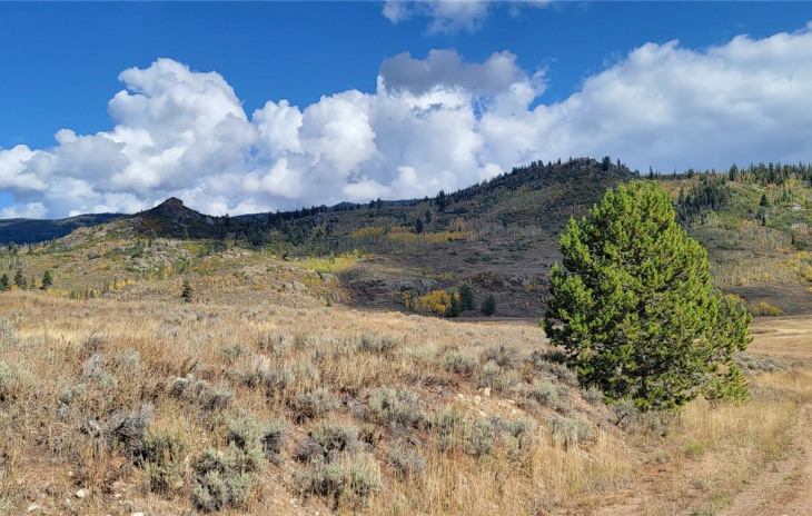 TBD Whiffle Tree Trail Photo