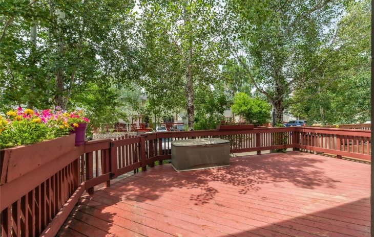 29 Balsam Photo
