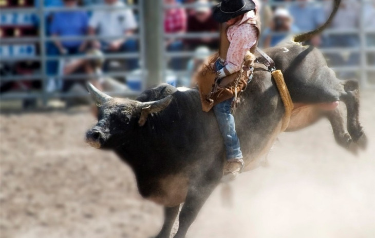 608 Yampa Photo