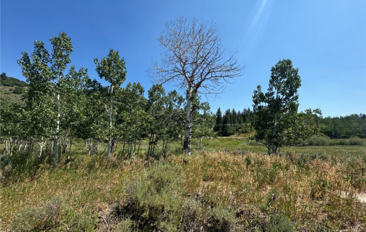 22624 Commanche Road Photo