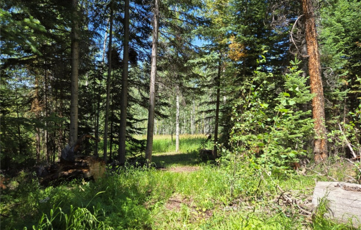 32638 Colt Trail Photo