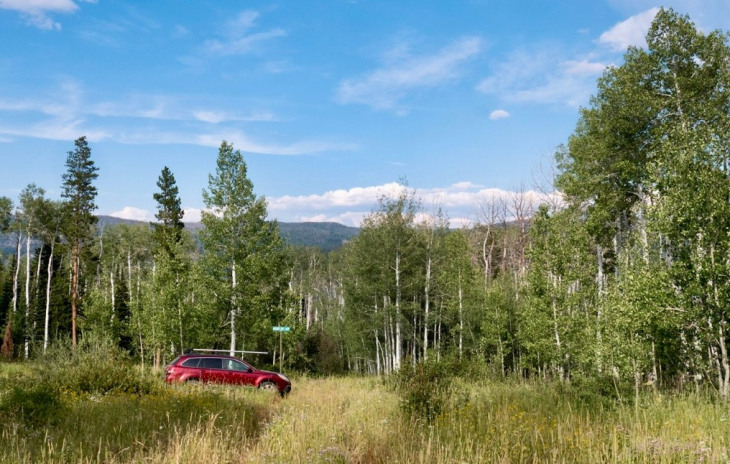 TBD Wagon Wheel Trail Photo