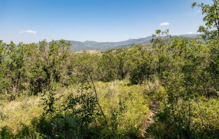 255 Caribou Lane Photo