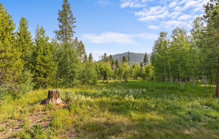 32478 Ute Trail Photo