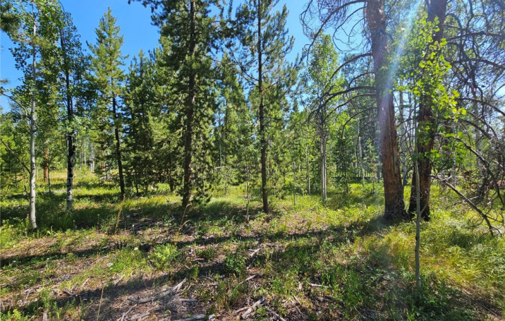 21095 Stallion Way Photo