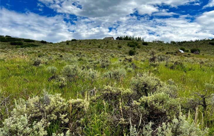 24510 Arapahoe Road Photo