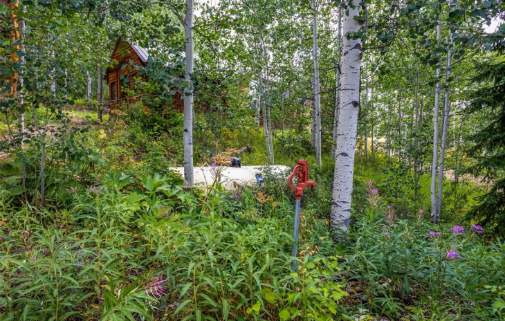25065 Aspen Way Photo