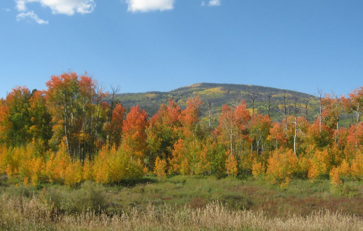 000 Springboard Trail Photo