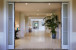 Palm Hallway