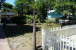 13042 Touchstone Place Photo