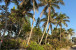 0 Surf Rd Photo