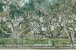 3330 Meridian Way S #A Photo