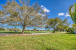 140 Palomino Drive Photo