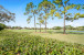 8 Wycliff Road Photo