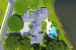 1449 Enclave Circle Photo