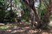 12604 Prosperity Farms Road Photo