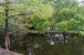 16241 128th Trail N Photo