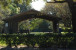 123 Lost Bridge Drive Photo