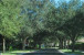 123 Lost Bridge Drive Photo