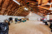 8922 Estate Drive Photo