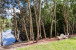 11845 165th Road N Photo