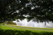 2900 Olivewood Terrace #2060 Photo