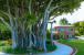 1125 N Flagler Drive Photo