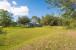 5924 Avocado Boulevard Photo