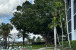 521 Bay Colony Drive N #And Slip #19 Photo