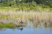 8794 Lakes Boulevard Photo