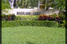 5188 Woodland Lakes Drive #135 Photo
