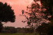 8560 Egret Lakes Lane Photo