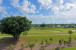 5350 Woodland Lakes Drive #212 Photo