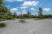 1227 Timber Reap Trail Photo