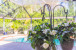7 Halidon Court Photo