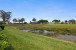 521 Prestwick Circle Photo