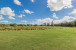 127 Coventry Place Photo