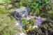 1216 SE Colony Way Photo