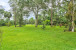 10046 175th Road N Photo