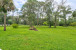 10046 175th Road N Photo