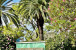10084 Meridian Way N #4 Photo