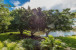 1314 13th Terrace Photo