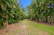 16918 127th Drive N Photo