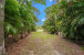 16918 127th Drive N Photo