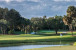 2978 Gin Berry Way Photo