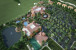 285 Porto Vecchio Way Photo